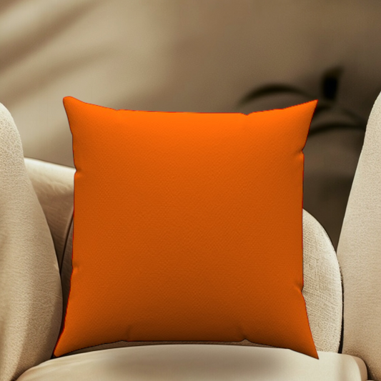 Solid Orange Throw Pillow 20" x 20"